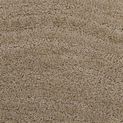 Close-up of Taittinger On Trend Carpet in Ashley Taupe, featuring a looped pile and plush, densely packed fibers for a soft, wavy texture. This luxury carpet is ideal for durable flooring in the high-traffic areas of your home.