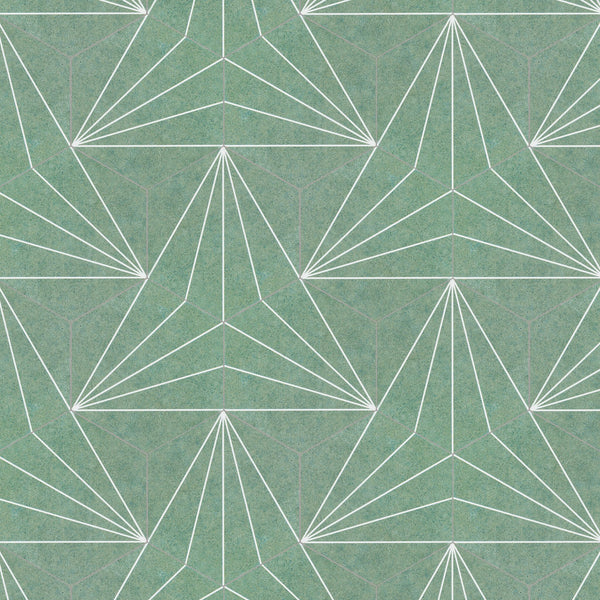 A geometric pattern featuring repeated white outlines of triangular shapes on a muted teal background, forming a symmetrical, tessellated design. The triangles have inner dividing lines, creating a layered effect.