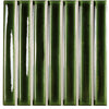 Olive Glossy