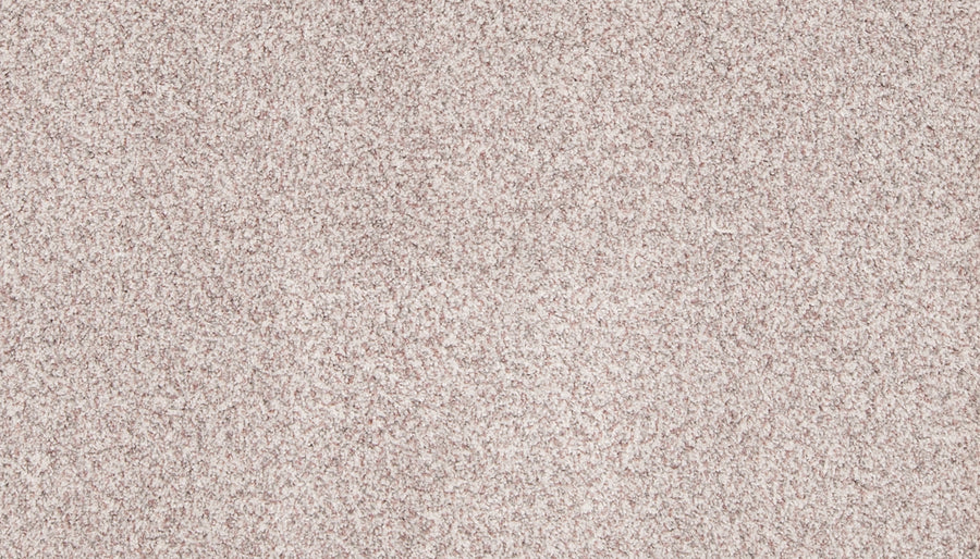 Close-up of Aurora Lights Family Friendly Carpet shows its light beige, soft, densely packed fibers, offering a uniform look that’s ideal for luxury homes and perfect for families.