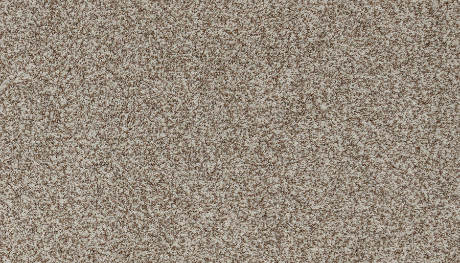 Close-up view of Aurelia Pet Friendly Carpet in beige and light brown tones, featuring a soft, plush texture with a slightly speckled, luxurious appearance.