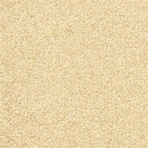 Close-up view of Morgan Bay Family Friendly Carpet in Autumn Blush, featuring a soft, textured looped pile. Its cozy, neutral fibers offer a plush surface that's perfect for high-traffic areas in any family home.
