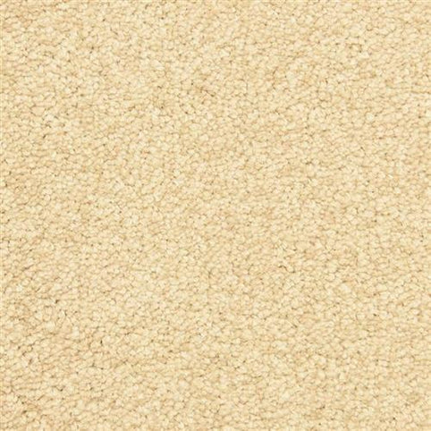 Close-up view of Morgan Bay Family Friendly Carpet in Autumn Blush, featuring a soft, textured looped pile. Its cozy, neutral fibers offer a plush surface that's perfect for high-traffic areas in any family home.