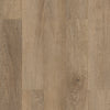 Brockport Oak (W)