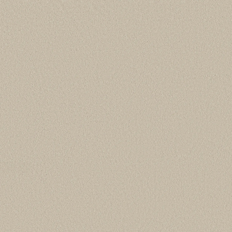A close-up of the Smooth Tone Pet Friendly Carpet in Baja shows its smooth, beige surface and fine sandy texture. With a uniform color and no visible patterns, it's a durable choice for busy homes.