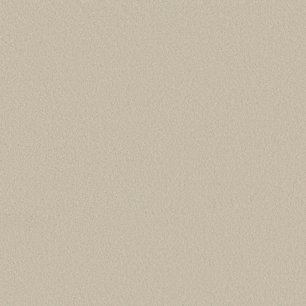 A close-up of the Smooth Tone Pet Friendly Carpet in Baja shows its smooth, beige surface and fine sandy texture. With a uniform color and no visible patterns, it's a durable choice for busy homes.