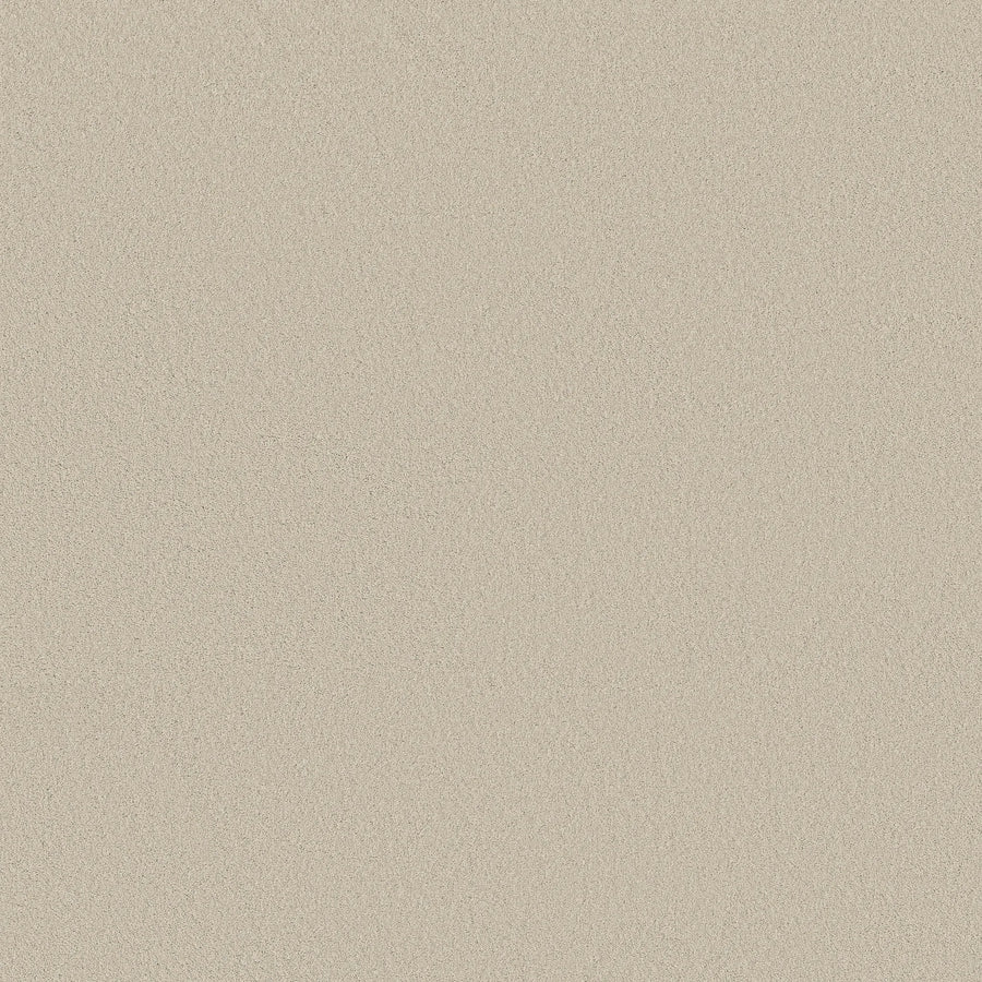 A close-up of the Classic Tone Blue Pet Friendly Carpet in Baja color shows a smooth, even-textured beige surface with a subtle grainy look and no distinct patterns, resembling fine sand or light stone.