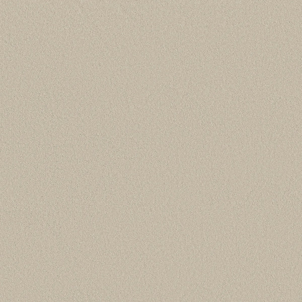 A close-up of the Classic Tone Blue Pet Friendly Carpet in Baja color shows a smooth, even-textured beige surface with a subtle grainy look and no distinct patterns, resembling fine sand or light stone.