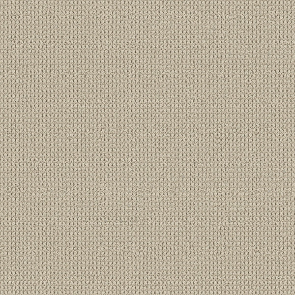 A close-up of the Knitted Tone Pet Friendly Carpet in Baja color shows its premium beige textured fabric with a uniform, small repeating woven pattern and a slightly raised look.