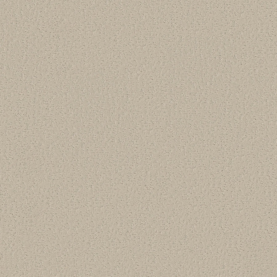 Crafted Tone Pet Friendly Carpet in Baja features a seamless, uniform beige with subtle grainy detail—resembling sand—offering durable, pet-friendly style for any space.