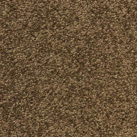 Close-up view of the Morgan Bay Family Friendly Carpet in Balcony, featuring a looped pile pattern with stain-resistant, brown and tan fibers—perfect for high-traffic, family-friendly spaces.