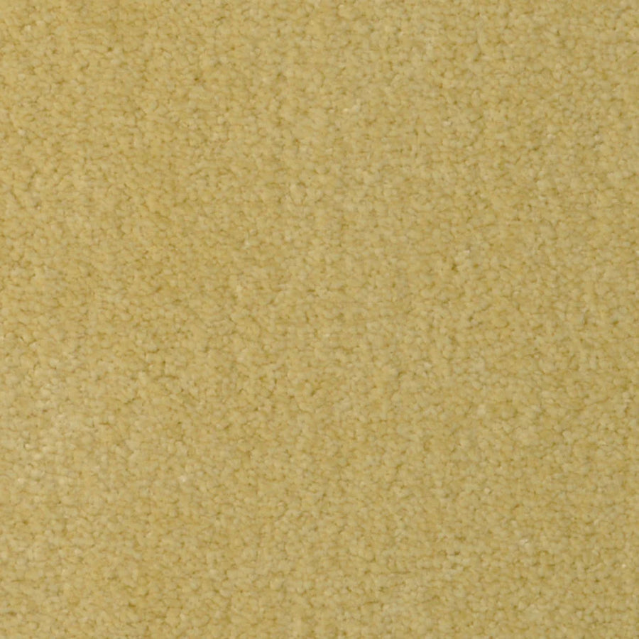 Close-up of the Seduction On Trend Carpet in Bambboo, showcasing its beige, textured surface with soft, even fibers and a plush, luxurious appearance.