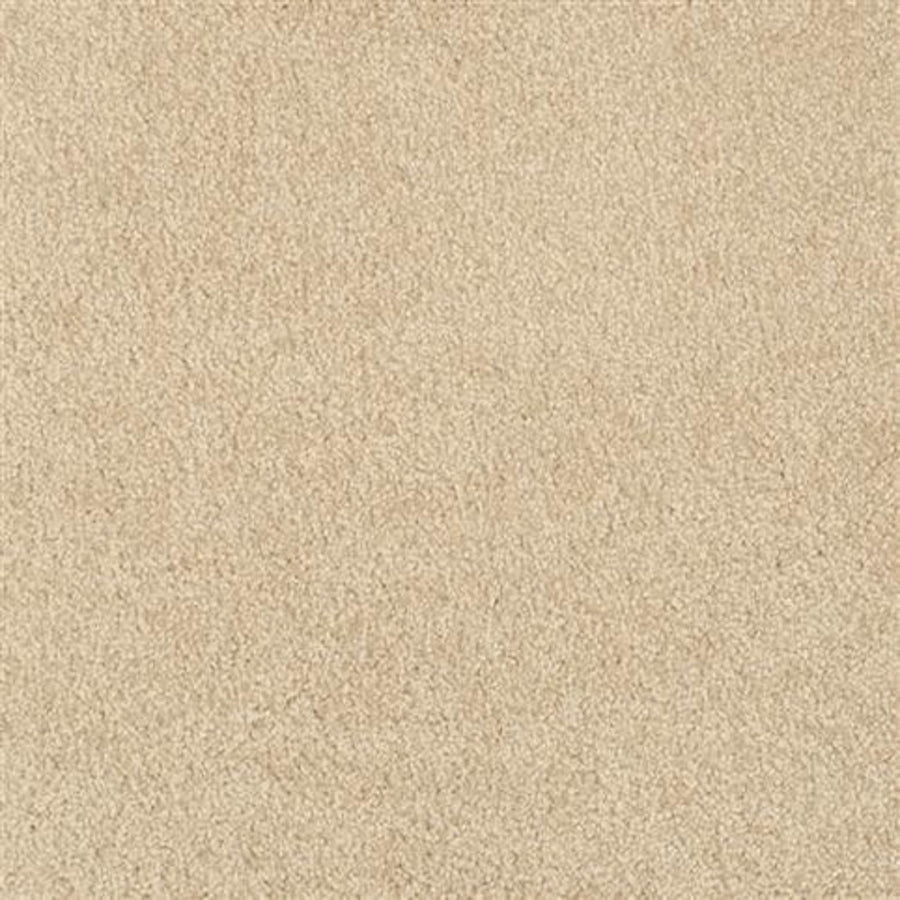 Close-up of Oceanside Family Friendly Carpet in Bar Harbor color, showing its soft, uniform texture and short pile. The clean, even surface offers a warm, neutral background ideal for family spaces.