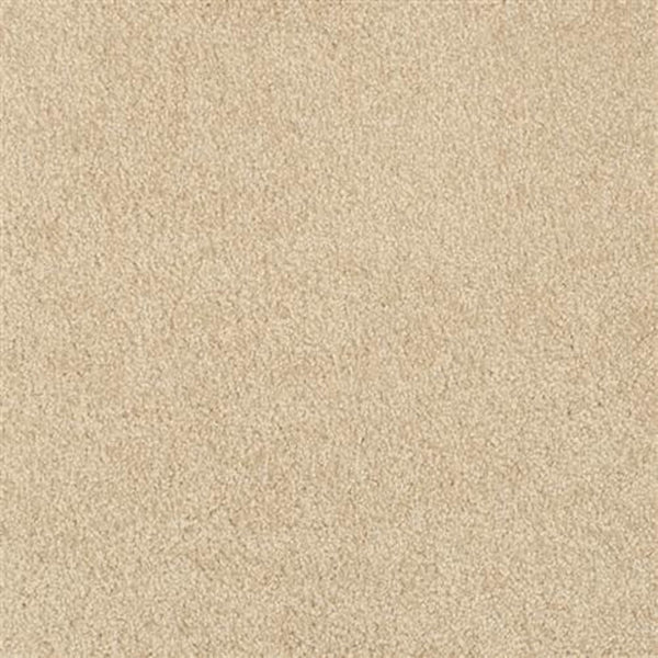 Close-up of Oceanside Family Friendly Carpet in Bar Harbor color, showing its soft, uniform texture and short pile. The clean, even surface offers a warm, neutral background ideal for family spaces.