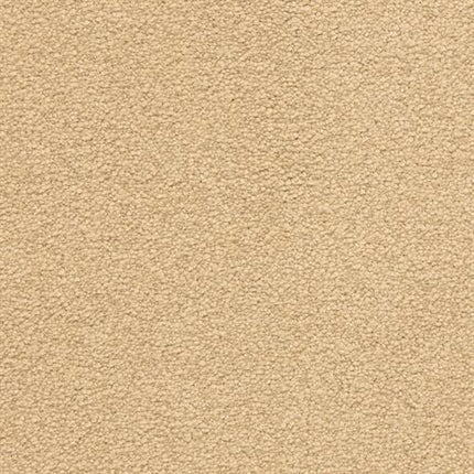 Close-up of Grand Isle Family Friendly Carpet in Barley, showcasing its soft, textured surface with tightly packed fibers for a uniform, neutral look—perfect for any home.