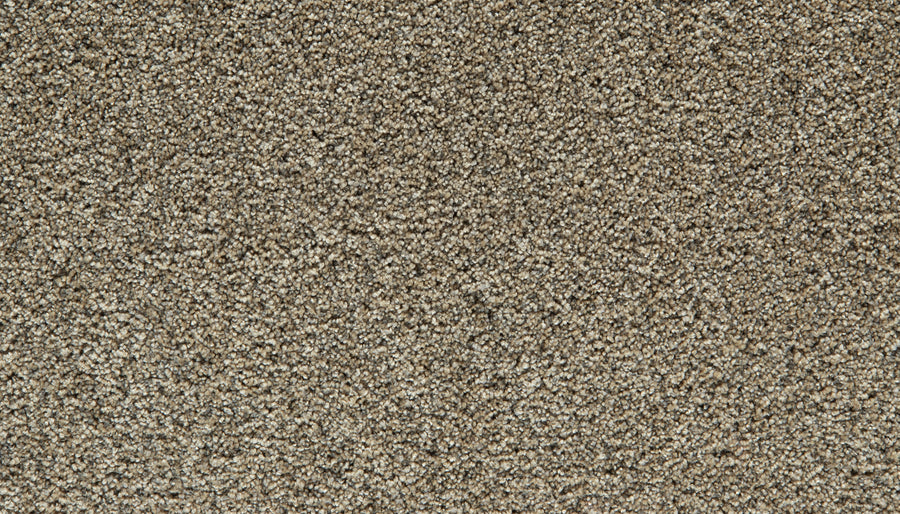 Close-up view of a textured, Barn Owl Cozy Companion Pet Friendly Carpet with tightly woven fibers that create a soft and even surface. The lighting highlights the plush carpet’s subtle variations in color and texture.