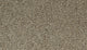 Cozy Companion Pet Friendly Carpet - Barn Owl