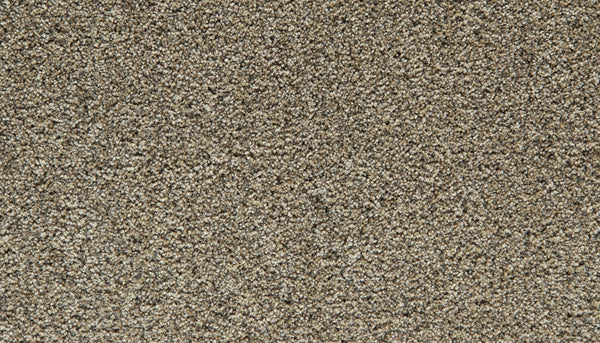 Close-up view of a textured, Barn Owl Cozy Companion Pet Friendly Carpet with tightly woven fibers that create a soft and even surface. The lighting highlights the plush carpet’s subtle variations in color and texture.