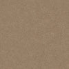 Basic Tan