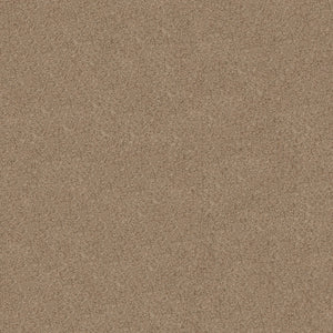 Close-up view of the Canyon Lake Family Friendly Carpet in Basic Tan, featuring a textured pattern that resembles cork granules. Its durable surface is ideal for family spaces and contemporary interiors.