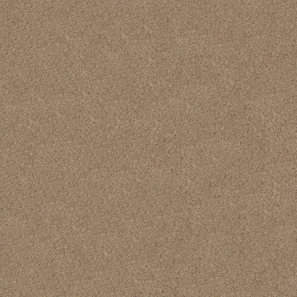 Close-up view of the Canyon Lake Family Friendly Carpet in Basic Tan, featuring a textured pattern that resembles cork granules. Its durable surface is ideal for family spaces and contemporary interiors.