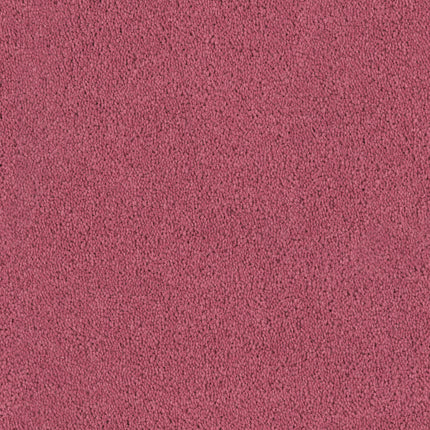 Close-up of Tribute Family Friendly Carpet in Batik color, showing its soft, fabric-like texture with small, tightly packed fibers—ideal for families.