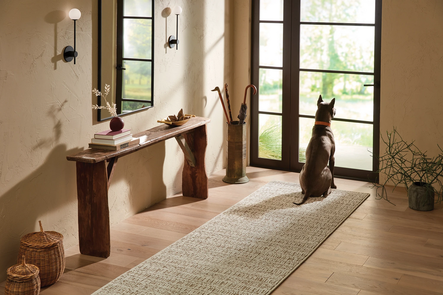 A brown dog sits on a patterned rug in a bright entryway, looking out glass doors. A rustic wooden bench with books, a bowl, and decor stands to the left, with a mirror and wall lights above. Sunlight fills the room.