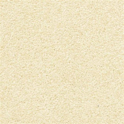 A close-up of Morgan Bay Family Friendly Carpet in Barvarian Cream shows its soft, textured, stain-resistant surface with tightly packed fibers—a neutral, durable choice perfect for high-traffic areas.