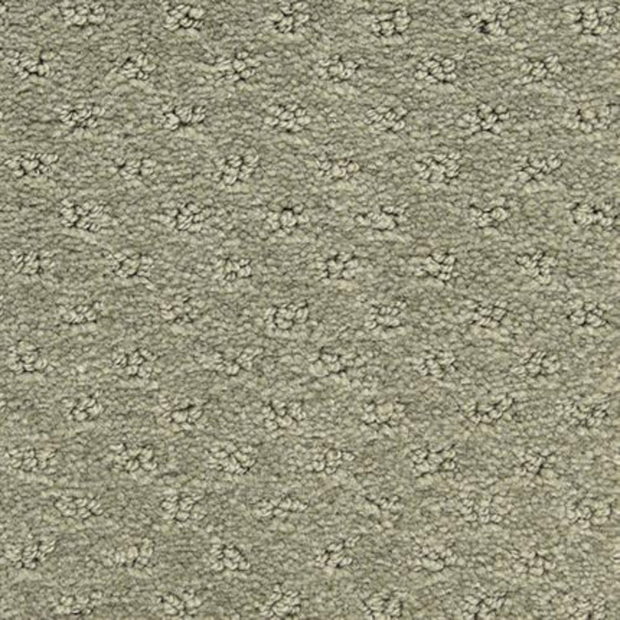 Close-up of Dreamer On Trend Carpet in Bay Leaf—a beige textured carpet with a subtle dotted pattern, featuring small raised loops and plush fibers for stylish, durable luxury flooring.