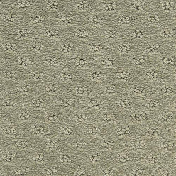 Close-up of Dreamer On Trend Carpet in Bay Leaf—a beige textured carpet with a subtle dotted pattern, featuring small raised loops and plush fibers for stylish, durable luxury flooring.