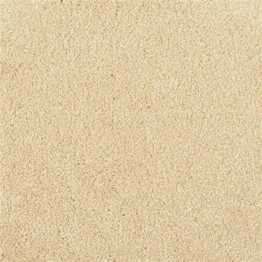 Close-up view of Oceanside Family Friendly Carpet in Beach Comber, featuring a soft, textured surface that’s plush, inviting, and perfect for families.