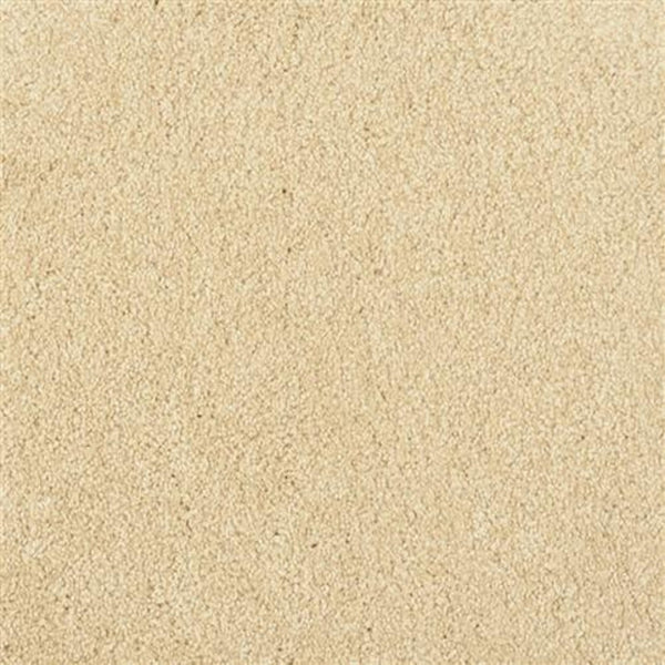Close-up view of Oceanside Family Friendly Carpet in Beach Comber, featuring a soft, textured surface that’s plush, inviting, and perfect for families.