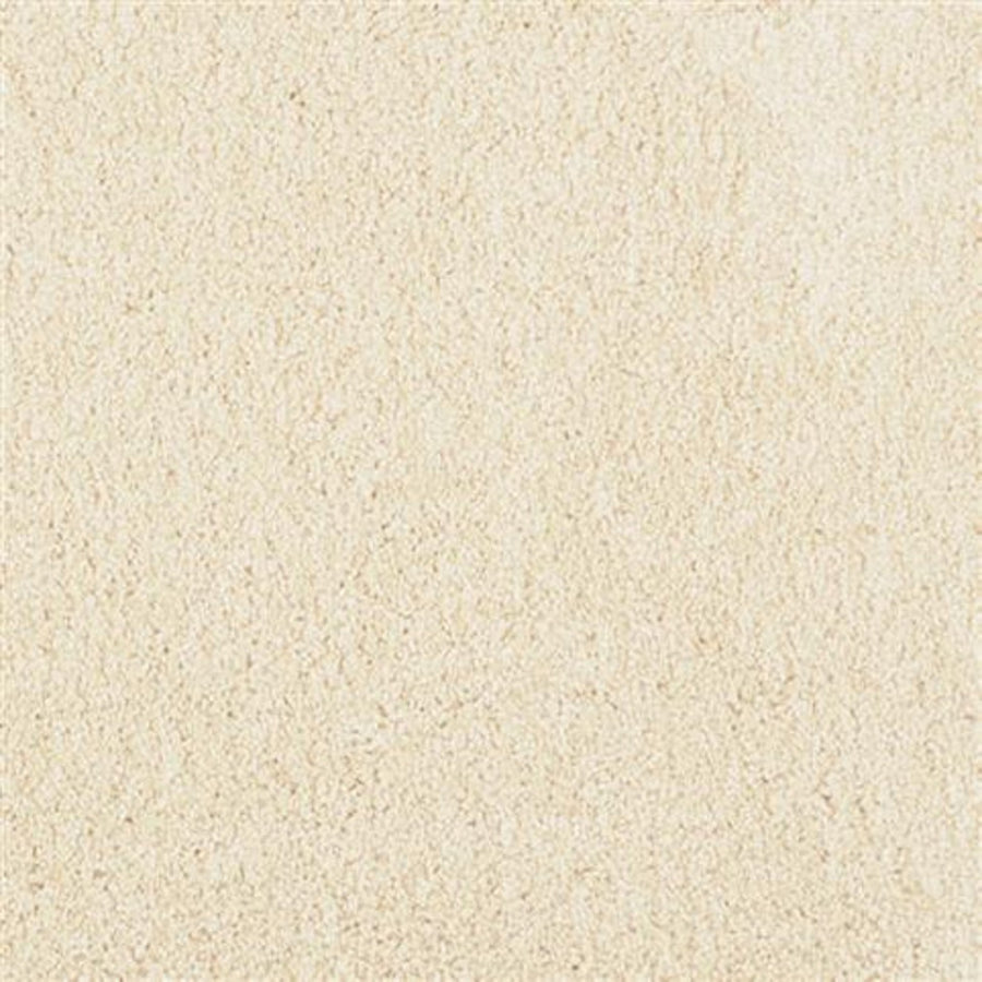 Close-up of Oceanside Family Friendly Carpet in Beach Front, featuring a soft, plush texture and evenly distributed fibers for a cozy, clean look—an ideal choice for any home.