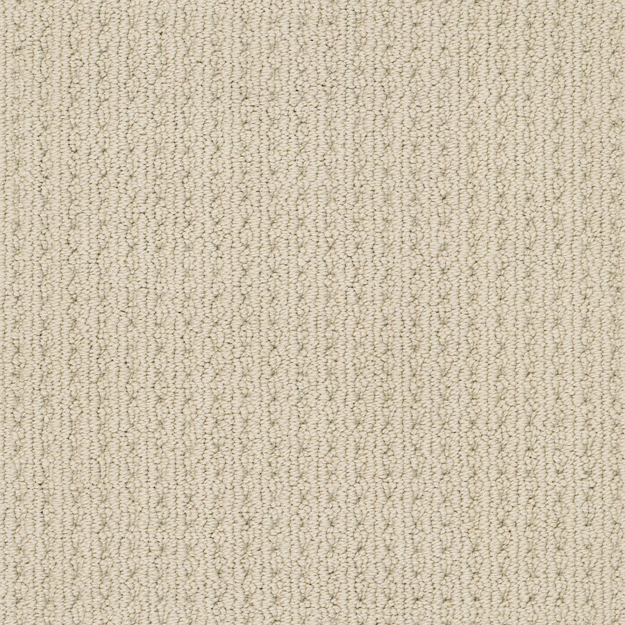 Close-up of San Lucas Family Friendly Carpet in Beach Haven, featuring soft, uniform fibers and a subtle vertical texture—ideal for high-traffic homes seeking comfort, warmth, and durability.