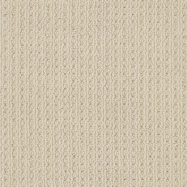 Close-up of San Lucas Family Friendly Carpet in Beach Haven, featuring soft, uniform fibers and a subtle vertical texture—ideal for high-traffic homes seeking comfort, warmth, and durability.