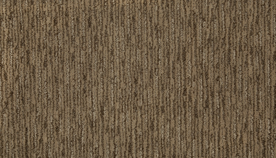 Close-up of the Beautiful Elements Pet Friendly Carpet in Lentil, featuring a soft, dense, textured brown surface with subtle vertical stripes—durable and ideal for homes or offices.
