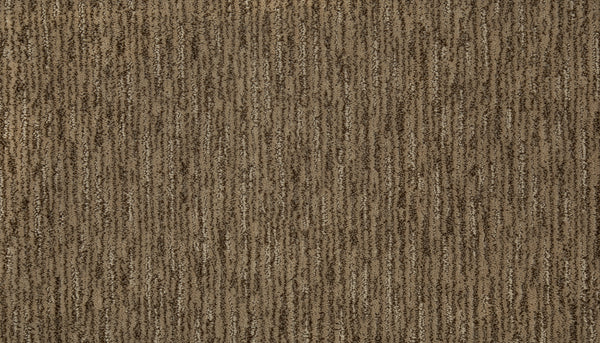 Close-up of the Beautiful Elements Pet Friendly Carpet in Lentil, featuring a soft, dense, textured brown surface with subtle vertical stripes—durable and ideal for homes or offices.