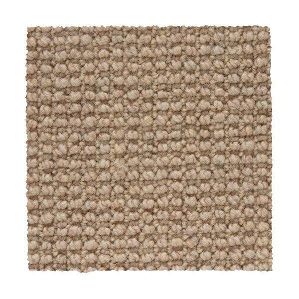 A square sample of Bellarine Berber Carpet in Fawn, featuring a loop-pile texture and chunky weave pattern. Shown on a white background, this durable carpet enhances style and comfort in any room.