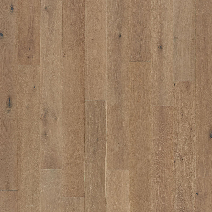 Barton Hall 7 1/2" European White Oak Hardwood flooring features a light brown hue, visible grain patterns, natural knots, and subtle color variations for a warm, textured surface ideal for luxury interiors.