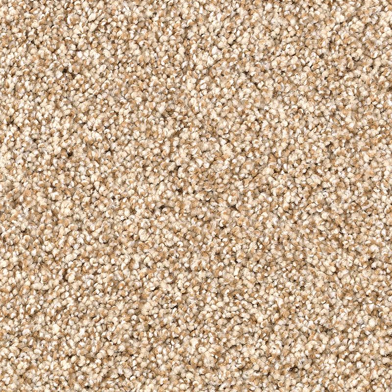 Close-up view of Shaded Escape Family Friendly Carpet in Birch Log, featuring tightly packed, looped fibers for a soft, uniform surface—ideal for durable, family-friendly spaces.