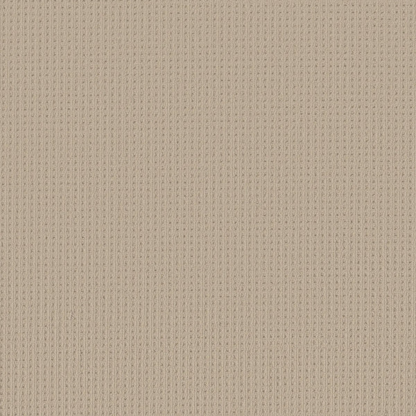 Close-up of San Lucas Family Friendly Carpet in Biscuit, highlighting its beige, vertical ribbed knit texture and uniform stitching—perfect for high-traffic homes seeking a durable, stylish flooring solution.