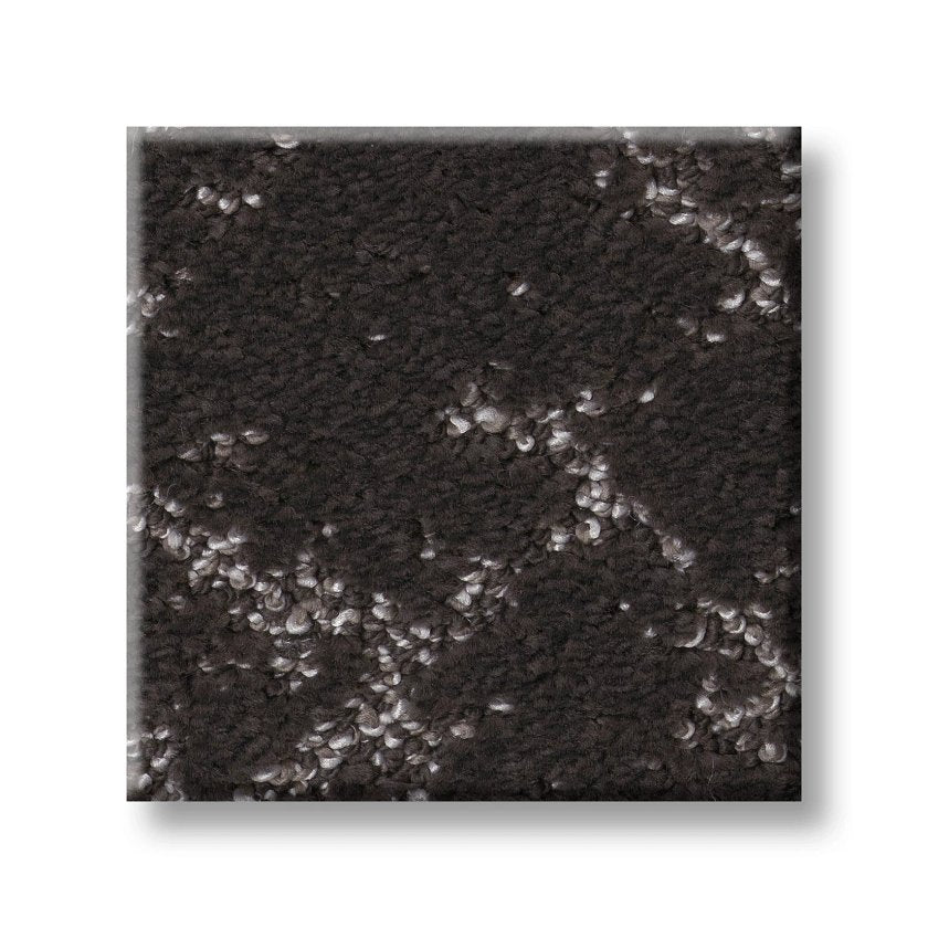 A square sample of Sincere Focus On Trend Carpet features a dark brown base with scattered light gray flecks for a speckled, textured look. Clean edges stand out against a white background.