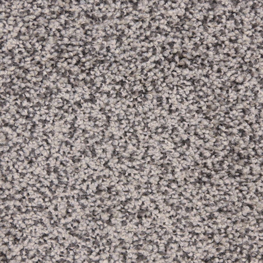 Close-up view of Maroon Bells Family Friendly Carpet in Black Sand, featuring tightly woven fibers for a soft, uniform, and family-friendly textured surface.