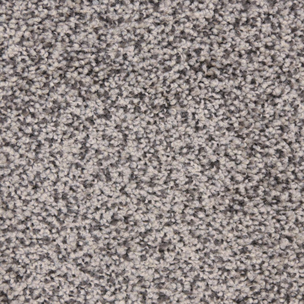 Close-up view of Maroon Bells Family Friendly Carpet in Black Sand, featuring tightly woven fibers for a soft, uniform, and family-friendly textured surface.
