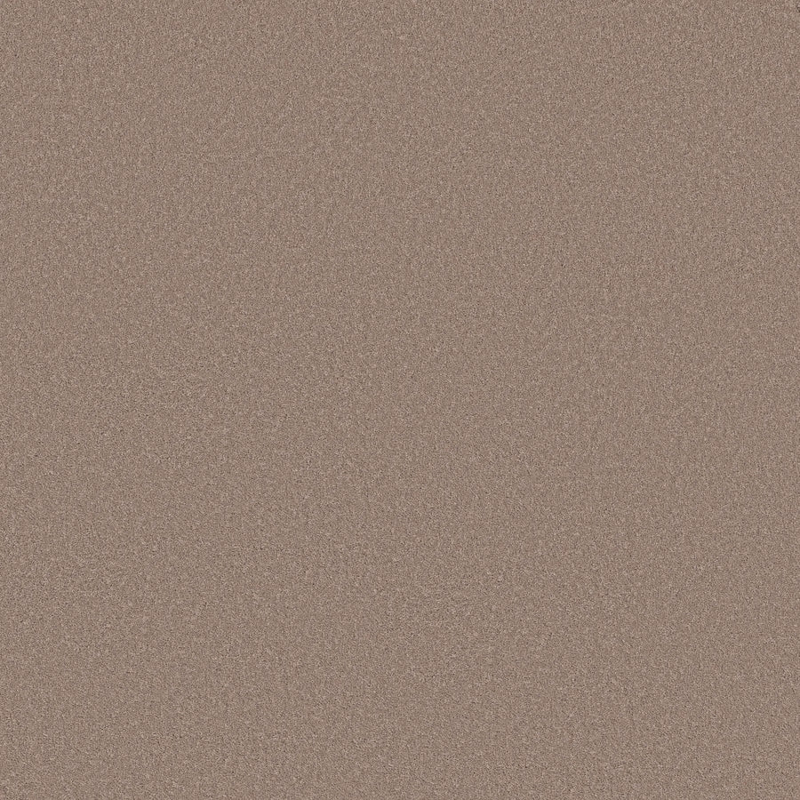 A close-up of the Smooth Tone Pet Friendly Carpet in Blissful Blush, featuring a uniform, fine texture and soft reddish-brown color reminiscent of delicate sand.