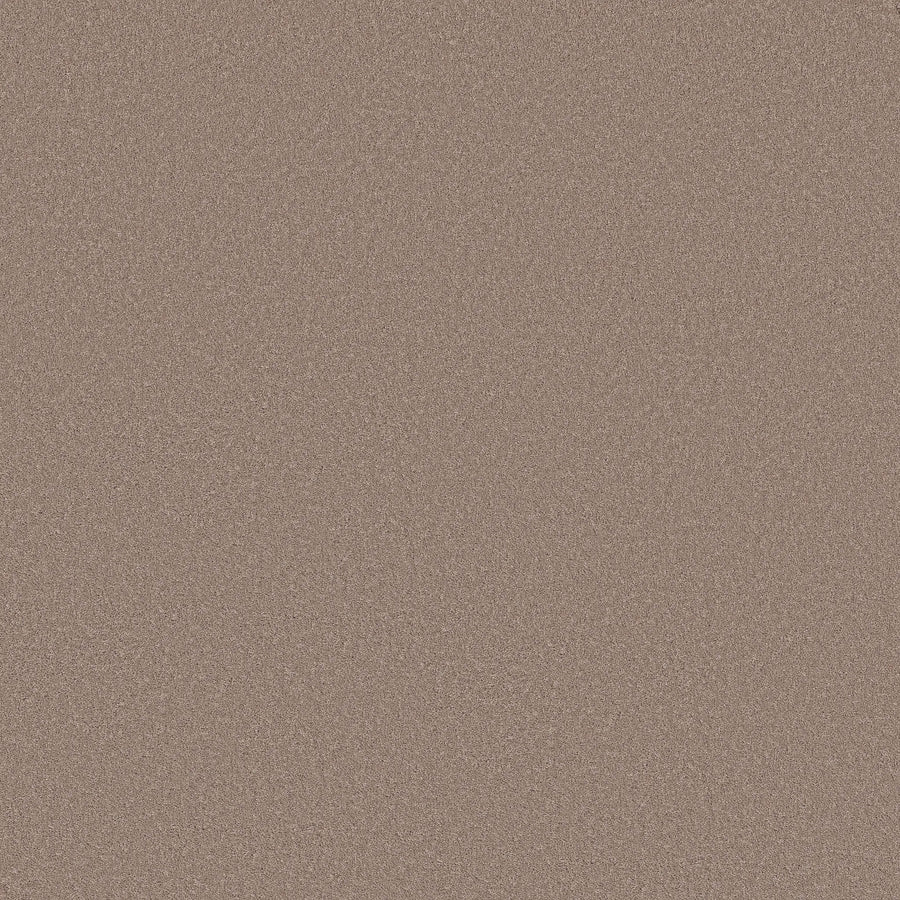 A close-up of Classic Tone Blue Pet Friendly Carpet in Blissful Blush shows its finely textured, matte surface—resembling soft sandpaper—offering durability and pet-friendly features in a light taupe-inspired hue.