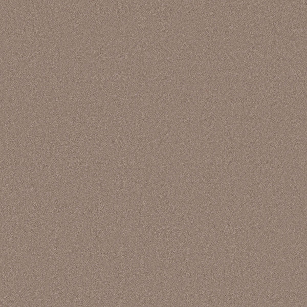 A close-up of Classic Tone Blue Pet Friendly Carpet in Blissful Blush shows its finely textured, matte surface—resembling soft sandpaper—offering durability and pet-friendly features in a light taupe-inspired hue.