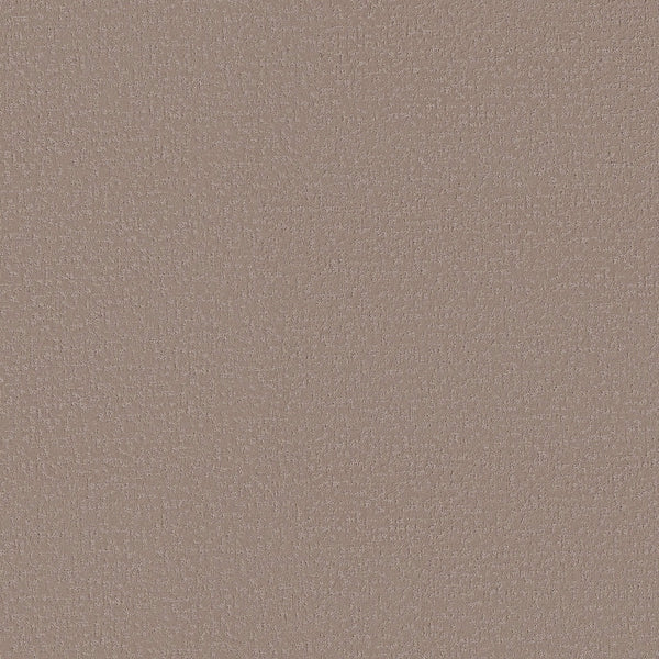 A close-up of Crafted Tone Pet Friendly Carpet in Blissful Blush, showcasing its fine-grained, muted pinkish-brown texture for stylish, stain-resistant durability—ideal for homes with pets.