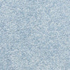 Blue Jay