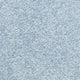 Blue Jay